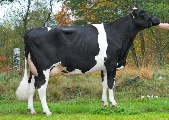 Sterksel Petra 43, eig.: Mts. van Middelaar, Sterksel Sterksel Petra 43, eig.: Mts. van Middelaar, Sterksel
