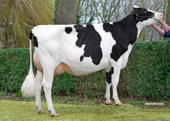 Dukefarm Hot Liese BE 313990457
V: Hotline
Eig: H. d'Hauwe, St-Lievens-Houtem (Belgie) Dukefarm Hot Liese BE 313990457
V: Hotline
Eig: H. d'Hauwe, St-Lievens-Houtem (Belgie)