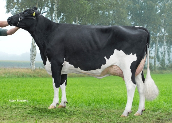 Klaeiterper Delta Sennah, eig.: VOF Booij-Ottens, Benneveld Klaeiterper Delta Sennah, eig.: VOF Booij-Ottens, Benneveld