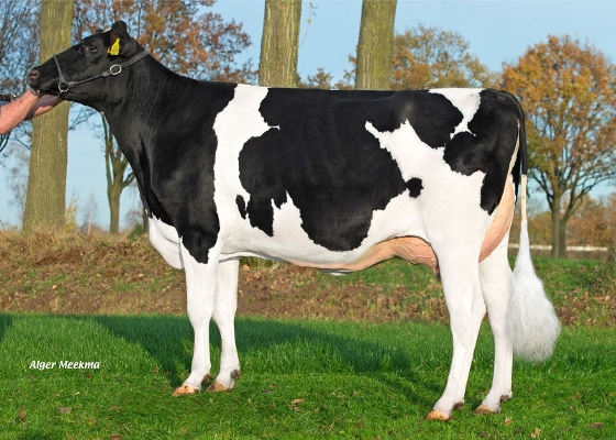 Betsie 95, eig.: Mts. A.J.M. & A.A.M.A. Evers-van Mierlo, Someren Betsie 95, eig.: Mts. A.J.M. & A.A.M.A. Evers-van Mierlo, Someren