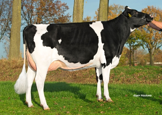 Delta Monica 4, eig.: Mts. A.J.M. & A.A.M.A. Evers-van Mierlo, Someren Delta Monica 4, eig.: Mts. A.J.M. & A.A.M.A. Evers-van Mierlo, Someren