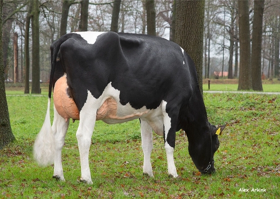 Beatrix 58, eig.: Mts Heutinck, Diepenheim Beatrix 58, eig.: Mts Heutinck, Diepenheim