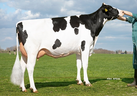 Delta Wonder (v:Ranger)
eig.: Mts J. Boschloo & M.J.M. Pelgrom, Steenderen Delta Wonder (v:Ranger)
eig.: Mts J. Boschloo & M.J.M. Pelgrom, Steenderen