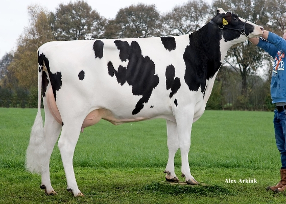 vd Pettershoeve Leida 466, Owner: K&L en V.O.F. Visstein, T Harde