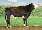Slijkhuis Grosso