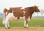 Pieta 39, 3rd calver, Owner: VOF van den Bosch, Gassel