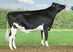 Delta Lustrum
eig: CRV