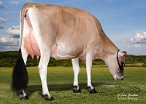 Jx Pvf Prop Joe Zap (moeder Zander)