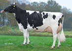 Etazon Racha  (3rd calver) owner: KAFM & LPJ Nooijen-Maas, Coevorden