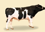 2021 Herd Solutions Catalogue