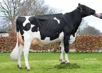 American Etz. Warsau 329      V: Balisto
Eig: American Holsteins, America