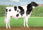 Delta Candyman P RF