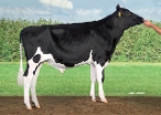 Delta Radler PP RF