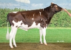 Delta Simplist P Red