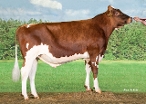 Delta Toscane Red
